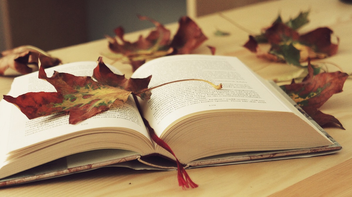 Přivítejte podzim s knihou: máme pro vás 10 tipů