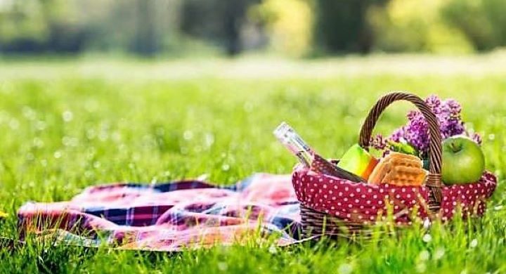 Oslavte Mezinarodni Den Pikniku Venku S Prateli Magazin Dobrych Knih