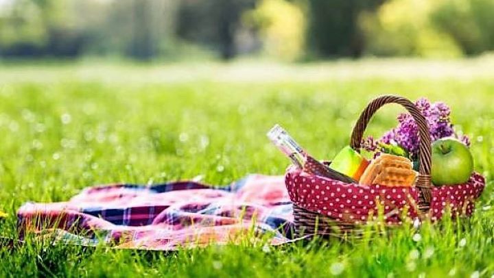 Oslavte mezinárodní den pikniku venku s přáteli