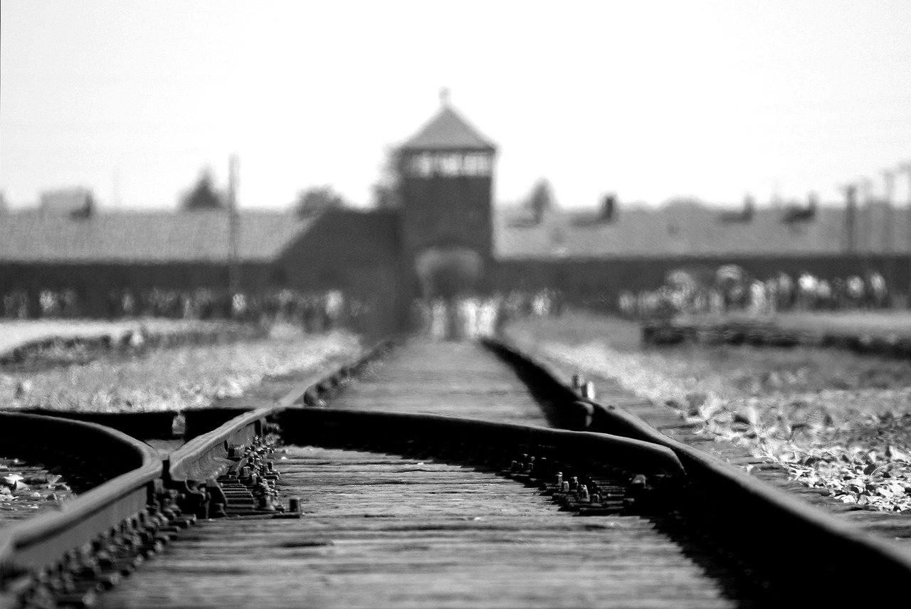 Holokaust v knize